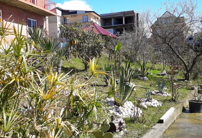 20190318_123949.jpg