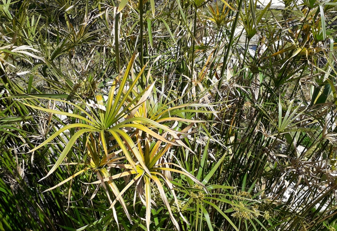 20190318_123946.jpg