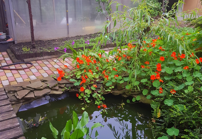 20190512_180857.jpg